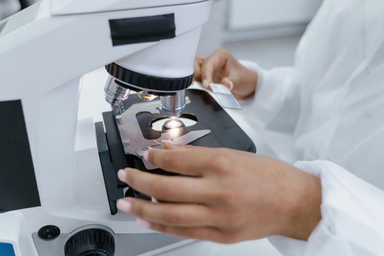¿Cuáles son las partes de una bacteria y qué hacen?