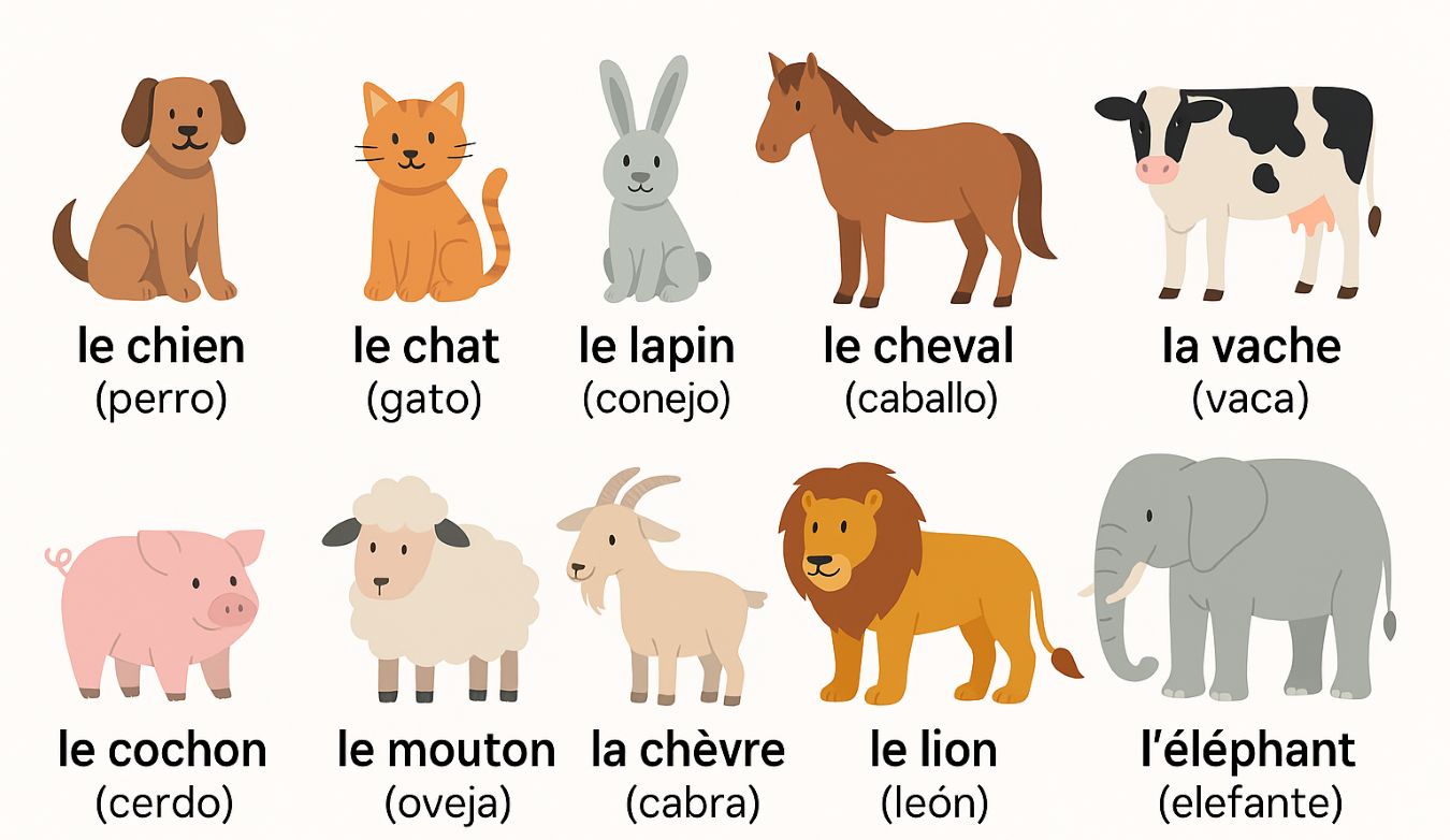 Nombre de animales en francés por tipos: guía completa